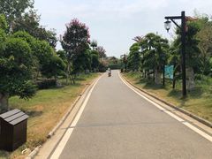 -武汉紫薇都市田园