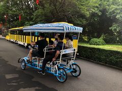 -大湾区中央湿地公园