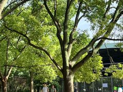 -共青国家森林公园-南大门停车场