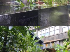 -肴约·花园式餐厅(湖里店)