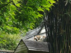 -汇龙潭