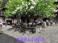 -何园