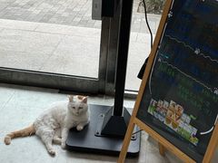 -纳吉亚猫专科动物医院·北北分院