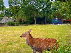 -不觉晓CAMPING(上海迪士尼营地店)