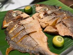 -椰子不语 椰子鸡火锅(淮海店)