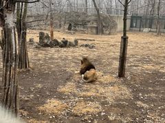 -秦皇岛野生动物园