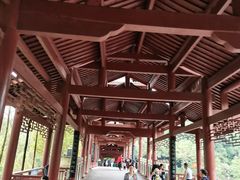 -重庆彩云湖湿地公园