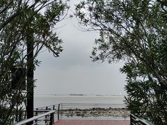 -上海吴淞炮台湾国家湿地公园
