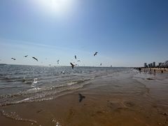 -秦皇岛秦皇国际大酒店