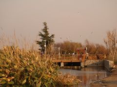 -呈贡滇池生态湿地公园