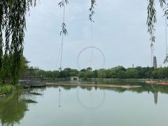 -祥源·阜阳生态乐园