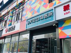 -瑞派·关忠动物医院·异宠专科·犬猫肿瘤·皮肤专科(望京店)