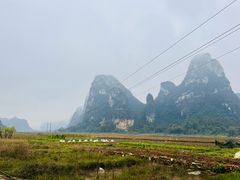 -明仕田园