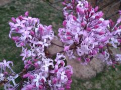 iphone_upload_pic-永定门公园