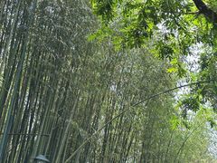 -竹泉村旅游度假区