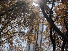 -九龙寨城公园