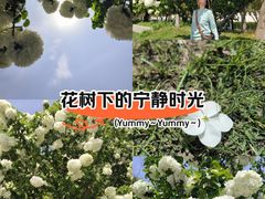 -望达路停车场