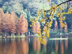 -重庆彩云湖湿地公园