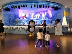 -帝企鹅自助餐厅•儿童岛•真企鹅(长隆企鹅酒店)