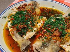 三椒蒸鲈鱼-荆九爷爆炒桥头三嫩(浙大店)