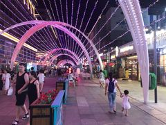 -金狮国际酒店自助餐(金狮店)