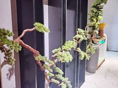 -璞·澐间影院式足道SPA(尚悦湾店)
