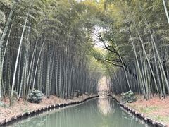 -同里国家湿地公园