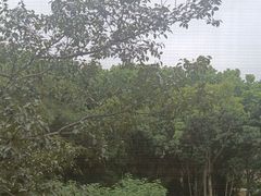 -新洲生态园