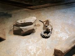 -绿色星球动物主题公园