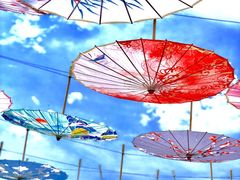 -荷塘月色湿地公园·向阳花洲
