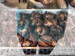 -日日香卤鹅饭店·澄海狮头鹅(澄海店)