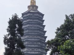 -红梅公园