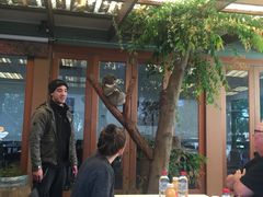 -费瑟代尔野生动物园