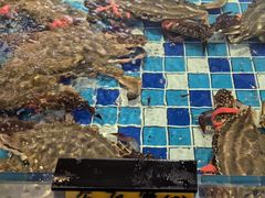 -映像威海·海鲜味道(市区店)