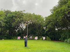 -广州长隆飞鸟乐园