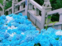-阅江楼风景区