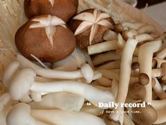 -九府羊·鲜羊火锅·烤串(新华路店)