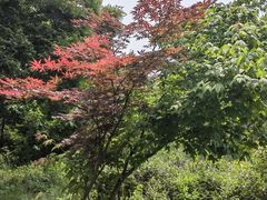 -南京市江宁方山