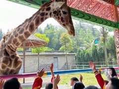 -贵州森林野生动物园