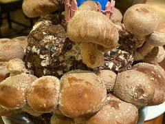 活体松香菇-捞王锅物料理(上海世茂广场店)