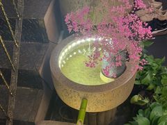 -升艾堂·经络·艾灸·气血(成山路店)