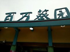 -百万葵园