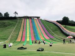 -衢州飞鸿滑草场