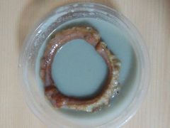 android_upload_pic-老磁器口豆汁店(天坛店)