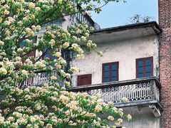 -赤坎·广东华侨国际旅游度假区