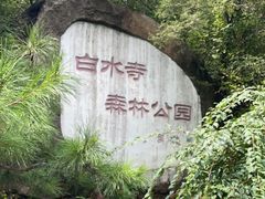 -白水寺森林公园