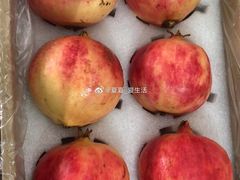 -西郊国际农产品交易中心