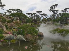 -罗红摄影艺术馆