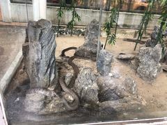 -荔城生鲜盛宴(番禺旗舰店)
