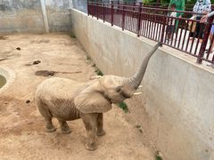 -西霞口神雕山野生动物世界